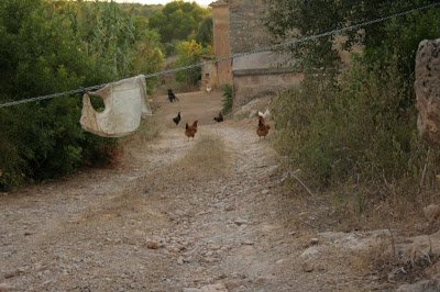 Best jugar chicken road in Spain